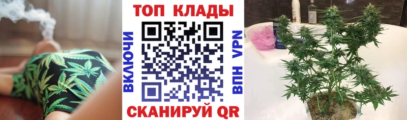 Купить Альметьевск Гашиш  Бошки Шишки  Амфетамин  NBOMe  mega зеркало  Мефедрон 
