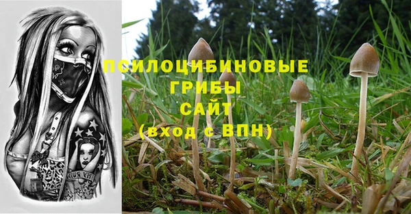 мяу мяу кристалл Лихославль