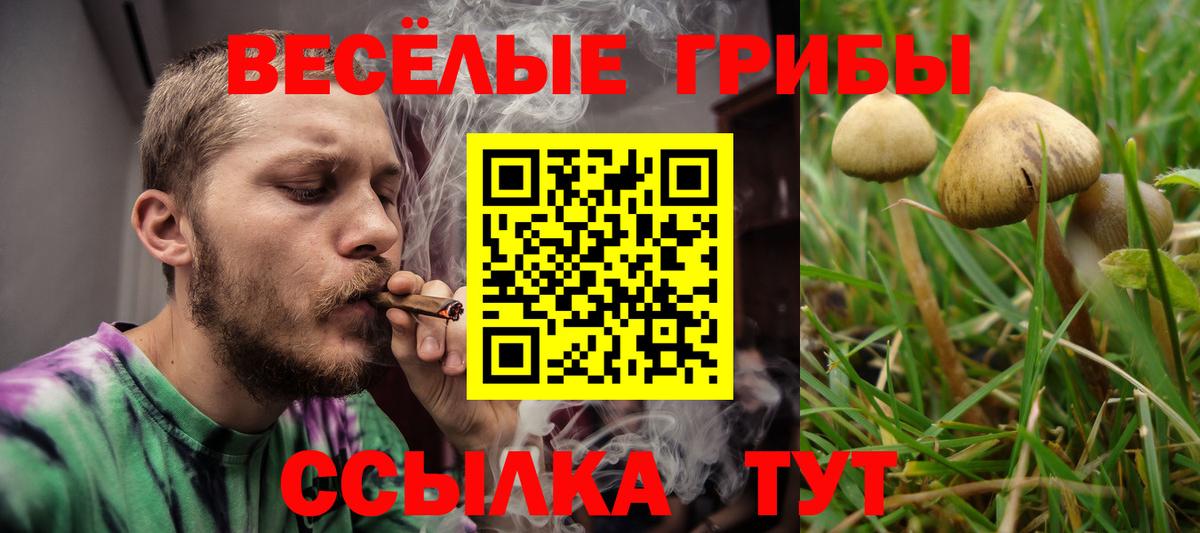 Альметьевск  Псилоцибиновые грибы ЛСД  Вход с VPN  Псилоцибиновые грибы ЛСД 